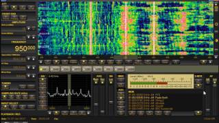 Dimtsi Hafash 1 950khz Eritrea