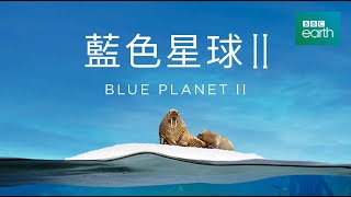 藍色星球2 預告 Blue Planet 2 Trailer BBC Earth Hami/myVideo/Line TV