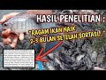 PENGARUH SORTASI TERHADAP PERTUMBUHAN NILA BIOFLOK