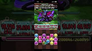 パズドラZコロシアム　シヴァドラループ編成