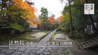 法然院 色鮮やかな紅葉と白砂壇 / Honen-in Temple / 京都いいとこ動画