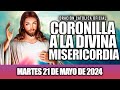 CORONILLA A LA DIVINA MISERICORDIA DE HOY MARTES 21 DE MAYO DE 2024