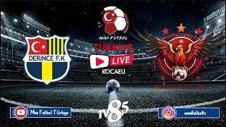 Ayyıldız Fk - MDL Derince Fk  / Kocaeli