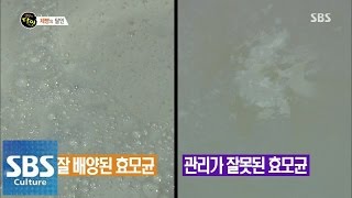 천연효모 키우는 달인 @생활의 달인 140825