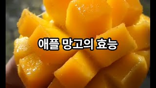 애플망고의 효능