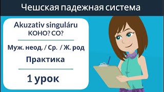 Akuzativ singuláru - KOHO? CO? | Чешские падежи | Упражнение