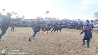 syang nongkrem vs Iong pa id