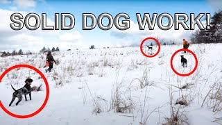 Pheasants \u0026 Chukars in the Snow | Late Season Hunting with awesome friends! | Preserve Hunt