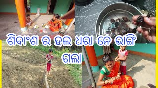 କେତେ ଦିନୁ ଖୁଜୁଥିଲି ଆଏଜ ପାଇଲି । ଶିବାଂଶ ର ହଲ ଧରବାର ନେ ଭାଙ୍ଗି ଗଲା ।!!trupti vlogeer!!!sambalpuri vlog !