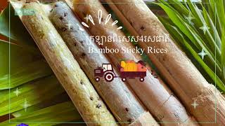 How to make Bamboo Sticky Rices in Cambodia/ របៀបធ្វើក្រឡាននៅស្រុកខ្មែរ ងាយៗ [Easy Recipe]