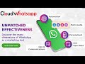 How To Use Cloud Based Bulk Whatsapp Marketing Software Auto Responder Bot 9953901841