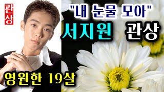 비운의 천재 가수 서지원 관상 (대표곡- 내 눈물 모아) 영원한 19살