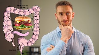 Digestion vs. Absorption | How to Eat Healthy | Probiotics for Immunity Boost