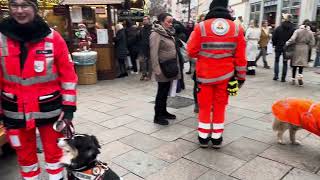 Rettungshundestaffel 13.12.24