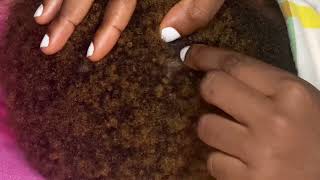 PICKING OUT HIDDEN NITS FROM THICK 4 C HAIR || ASMR