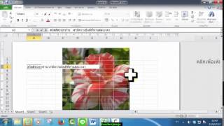 การเลียนแบบภาพลายน้ำใน excel แบบ เลือกรูปภาพ