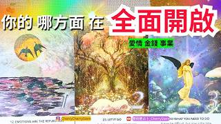 🍒 💝 你在人生的 哪方面將會迎來全新開啟｜愛情 事業 金錢♥️ 有字幕 🟣無時間限制占卜 🟡  #塔羅 #占卜 #字卡 #tarot #oracle #財富自由 #愛情 #愛 #事業