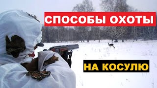 💥ЭФФЕКТИВНЫЕ СПОСОБЫ ОХОТЫ НА КОСУЛЮ!