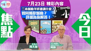 【幫港出聲與HKG報聯合製作‧今日焦點】三本煽動羊咩書講什麼？如何觸犯煽動？詳細為你解答！