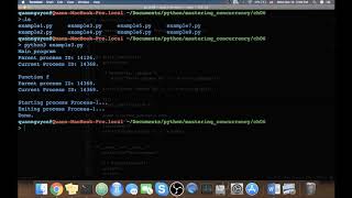 Mastering Concurrency in Python | 6. Working with Processes in Python