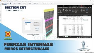 SAP2000 AVANZADO - FUERZAS INTERNAS EN MUROS [Section Cut]