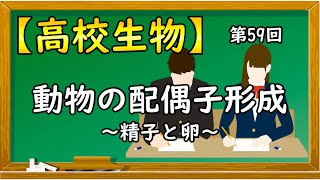 高校生物【第59回 動物の配偶子形成〜精子と卵〜】オンラインで高校授業