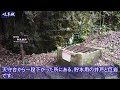 岐阜城　織田信長が天下布武を唱えた、小牧山城と安土城とを繋ぐ戦国時代の山城