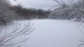 КИЛОГРАММОВЫЕ рыбины в ЯМАХ нано- речки! Такой должна быть ИДЕАЛЬНАЯ рыбалка