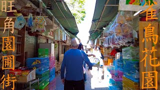 【躍動】園圃街雀鳥花園｜Yuen Po Street Bird Garden｜旺角｜Mong Kok｜香港｜Hong Kong｜雀仔街