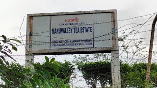 A visit to Manu Valley Tea Estate #like #share #subscribe #Informative890