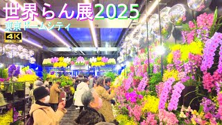 4K【世界らん展2025】Orchid and Flower Show 2025 花と緑の祭典 東京ドームシティ