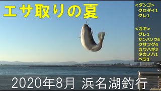 2020年8月 浜名湖釣行(エサ取りの夏)