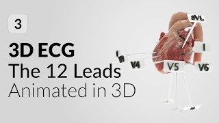 ECG leads and vessels in 3D | 3D ECG Mobile App