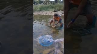 मासे पकडण्याची धम्माल. Enjoy this fishing movement. #viral #youtubeshorts #fish #myshorts #shorts