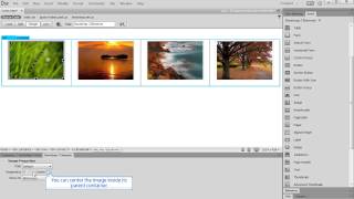 Using DMXzone Bootstrap 3 Thumbnails and Label Elements