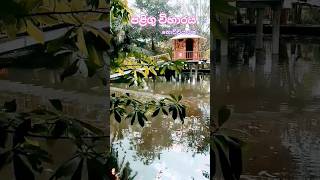 පළිගු විහාරයක් නොච්චියාගම 😳🤔🙏What is this paligu temple?😳🤔🙏#shortvideos #travel #subscribe 😳🤔🙏🏵️🌺