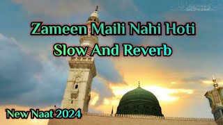Zameen Maili Nahi Hoti | Slowed + Reverb | New Naat 2024 | @ImamMahdiVoice