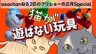 猫が遊ばない玩具シリーズ★asachanねる2024年お正月スペシャル