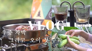 [sub] Weekend 5AM Miracle Morning ┃ Rainy Day Camping ┃ Cucumber First Harvest