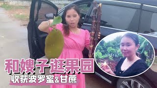 阿芝带上嫂子去东莞姐姐家逛果园！阿芝摘了波罗蜜和甘蔗，咬一口满满原生态【阿芝的日常生活】