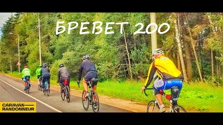 Б200 / BRM200/ Бревет 200км