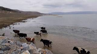 Çavuşçu Gölü (Lake Çavuşçu)