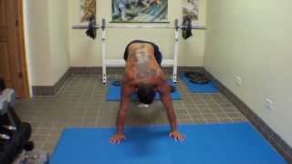 Intense Circuit Training for Real Martial Artists - 7/29/13