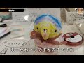 折り紙でメガミュウツーxを作りたい！【ポケモン折り紙が出来るまで】灯夏園ショートvlog