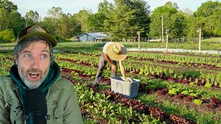 Fighting Slugs with Other Bugs + Addressing Farmer Loneliness in the Business Plan