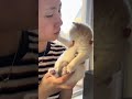 猫猫：是我拒绝的不够明显吗？ 记录猫咪日常 每日吸猫 抖in萌宠计划