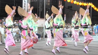 「やさか連」徳島阿波おどり2017@よんでん広場