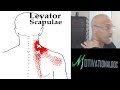 Neck Pain Gone in Seconds (Self-Help Myofascial Trigger Point Correction) - Dr Alan Mandell, DC