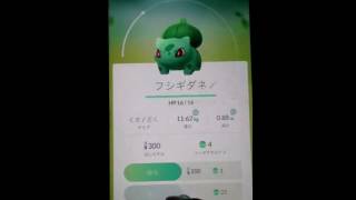 【ポケモンGO】フシギダネ強化 強化のやり方