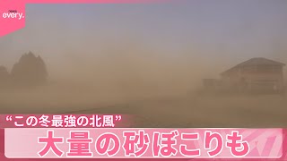 【強風】各地で“この冬最強の北風”  足場の崩壊、倒木、火災…大量の砂ぼこりも